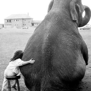 Meet your Posher, Pam